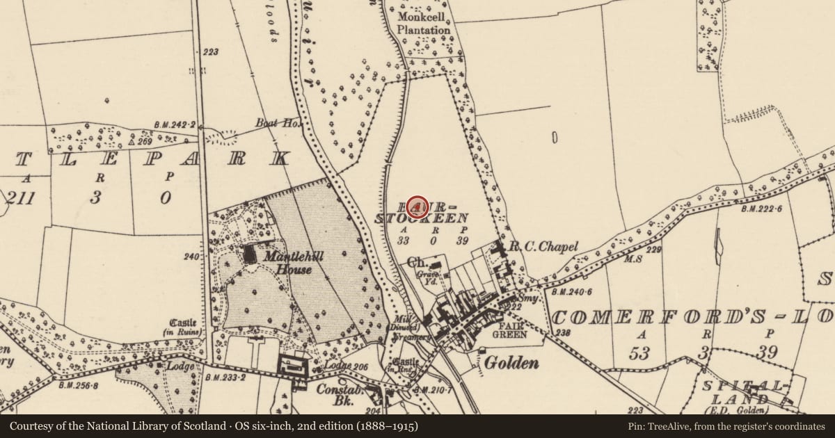 Ordnance Survey six-inch map, 2nd edition (1888–1915) covering the location of Road - road/trackway, Baurstookeen, County Tipperary South, with a pin at the register's coordinates