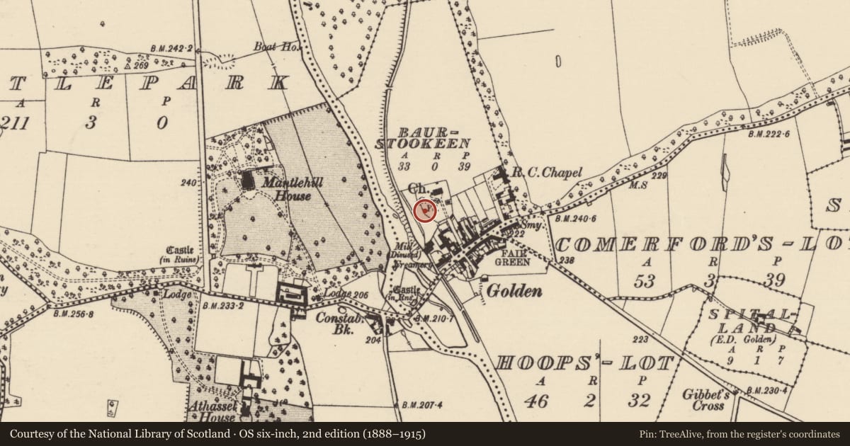 Ordnance Survey six-inch map, 2nd edition (1888–1915) covering the location of Graveslab, Baurstookeen, County Tipperary South, with a pin at the register's coordinates