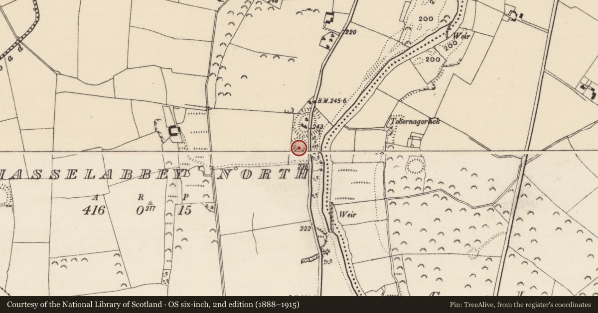 Ordnance Survey six-inch map, 2nd edition (1888–1915) covering the location of Enclosure, Athasselabbey North, County Tipperary South, with a pin at the register's coordinates