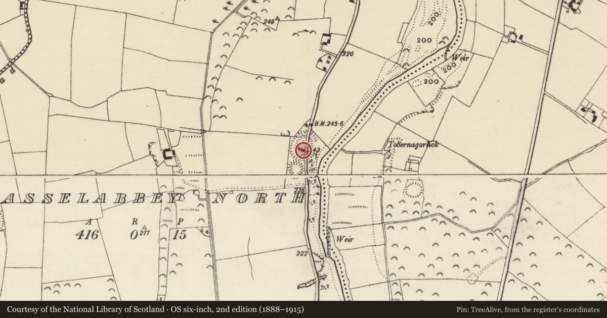 Ordnance Survey six-inch map, 2nd edition (1888–1915) covering the location of Castle - motte, Athasselabbey North, County Tipperary South, with a pin at the register's coordinates