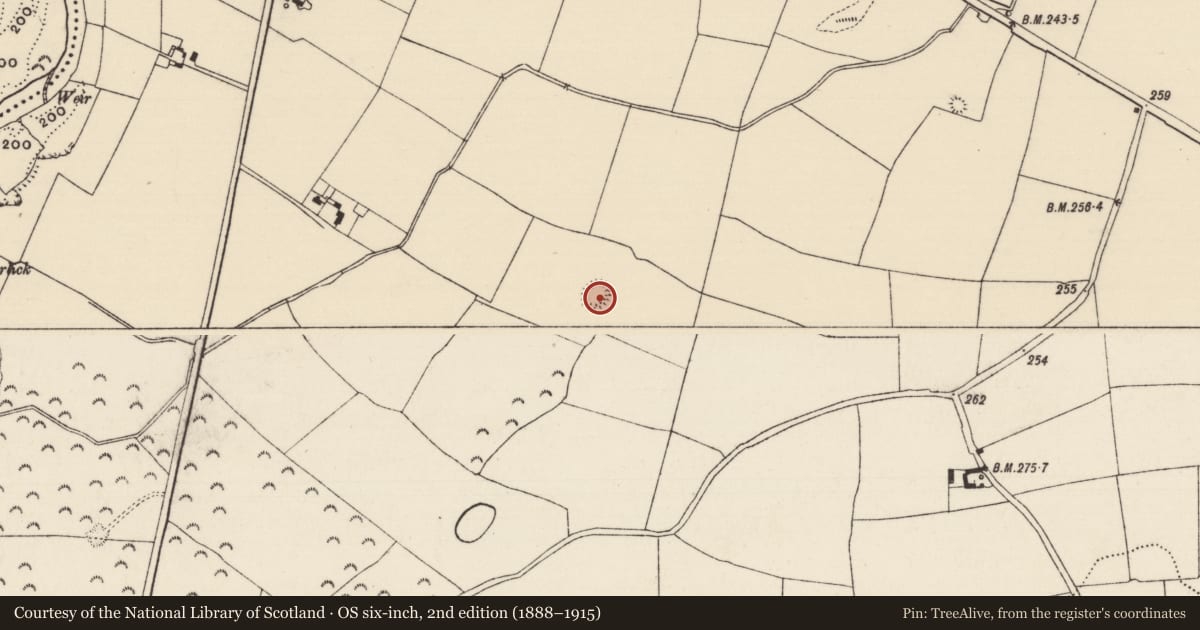 Ordnance Survey six-inch map, 2nd edition (1888–1915) covering the location of Enclosure, Cloghleigh (Relickmurray & Athassel Par.), County Tipperary South, with a pin at the register's coordinates