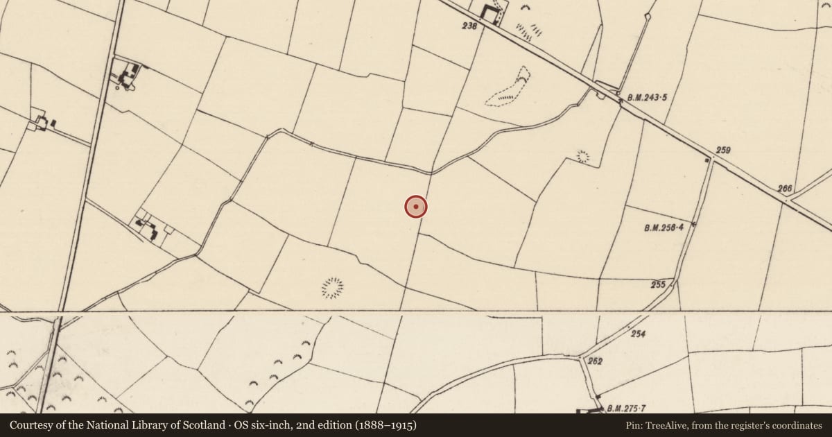 Ordnance Survey six-inch map, 2nd edition (1888–1915) covering the location of Enclosure, Cloghleigh (Relickmurray & Athassel Par.), County Tipperary South, with a pin at the register's coordinates