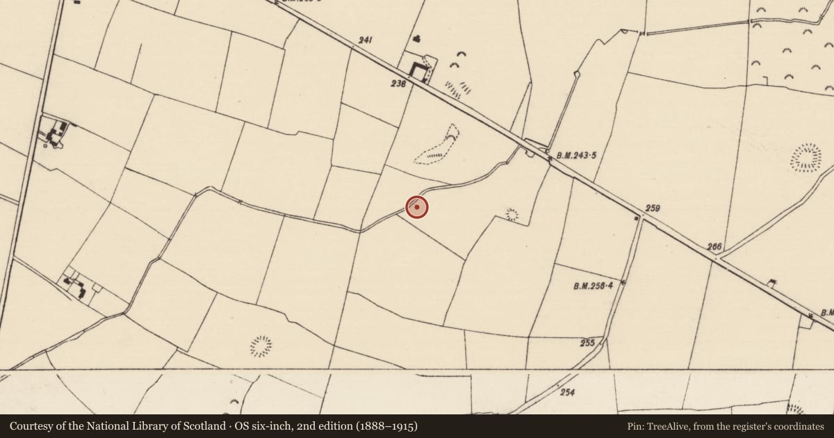 Ordnance Survey six-inch map, 2nd edition (1888–1915) covering the location of Enclosure, Cloghleigh (Relickmurray & Athassel Par.), County Tipperary South, with a pin at the register's coordinates