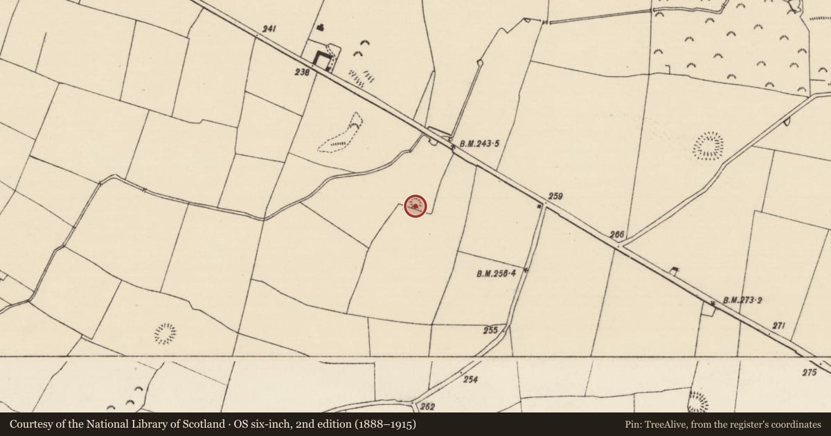 Ordnance Survey six-inch map, 2nd edition (1888–1915) covering the location of Enclosure, Cloghleigh (Relickmurray & Athassel Par.), County Tipperary South, with a pin at the register's coordinates