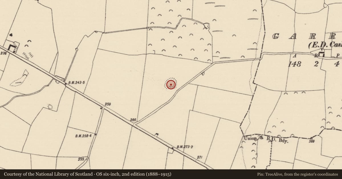 Ordnance Survey six-inch map, 2nd edition (1888–1915) covering the location of Moated site, Cloghleigh (Relickmurray & Athassel Par.), County Tipperary South, with a pin at the register's coordinates