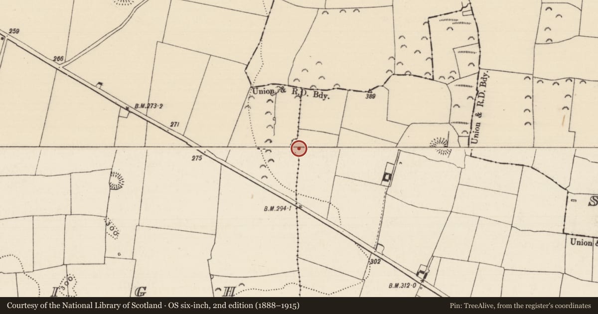 Ordnance Survey six-inch map, 2nd edition (1888–1915) covering the location of Enclosure, Cloghleigh (Relickmurray & Athassel Par.), Dangandargan, County Tipperary South, with a pin at the register's coordinates