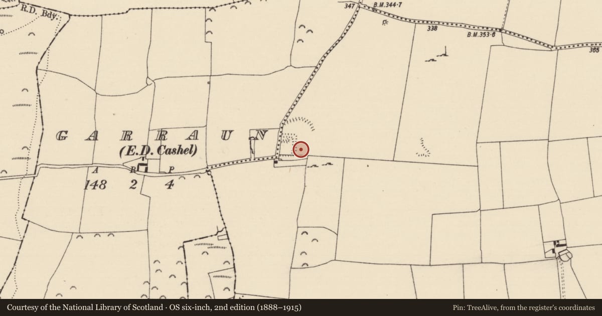Ordnance Survey six-inch map, 2nd edition (1888–1915) covering the location of Enclosure, Shanballyduff (Dangandargan Par.), Garraun (St. Patricksrock Par.), County Tipperary South, with a pin at the register's coordinates