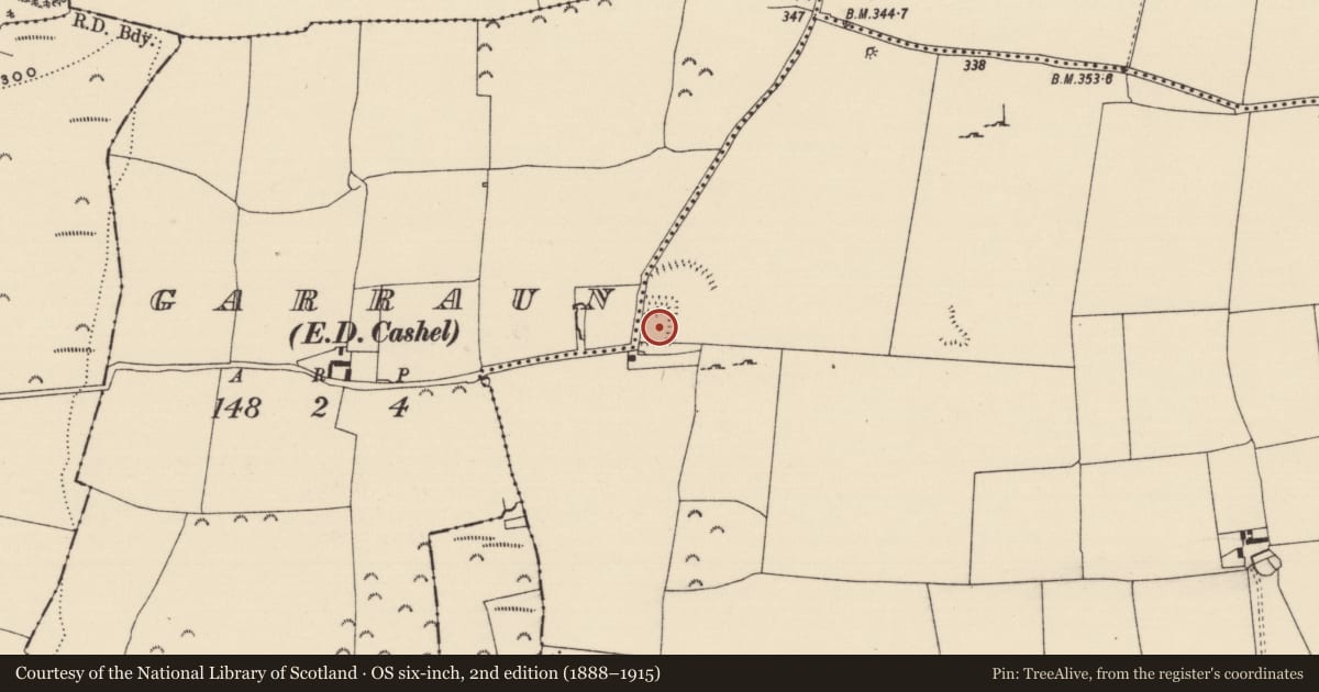 Ordnance Survey six-inch map, 2nd edition (1888–1915) covering the location of Moated site, Shanballyduff (Dangandargan Par.), Garraun (St. Patricksrock Par.), County Tipperary South, with a pin at the register's coordinates