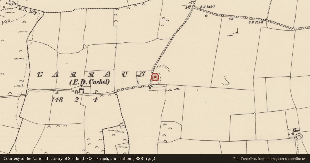 Ordnance Survey six-inch map, 2nd edition (1888–1915) covering the location of Structure, Garraun (St. Patricksrock Par.), Shanballyduff (Dangandargan Par.), County Tipperary South, with a pin at the register's coordinates