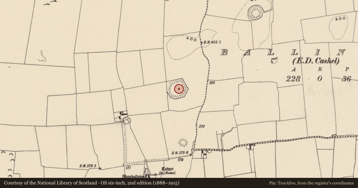 Ordnance Survey six-inch map, 2nd edition (1888–1915) covering the location of Enclosure, Shanballyduff (Dangandargan Par.), County Tipperary South, with a pin at the register's coordinates