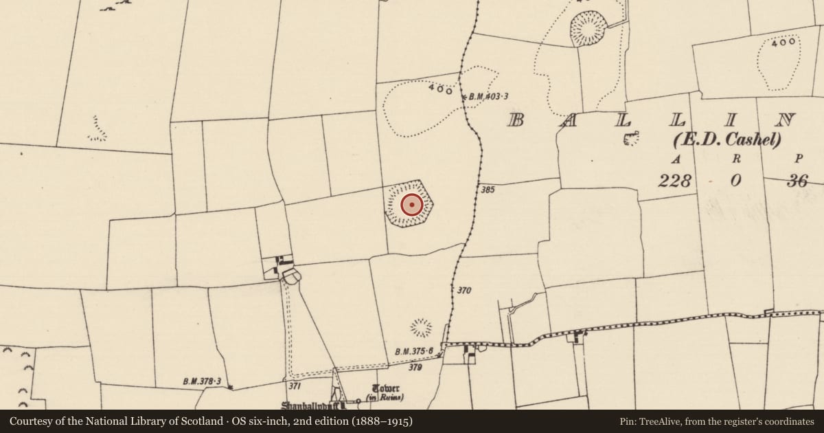 Ordnance Survey six-inch map, 2nd edition (1888–1915) covering the location of Enclosure, Shanballyduff (Dangandargan Par.), County Tipperary South, with a pin at the register's coordinates