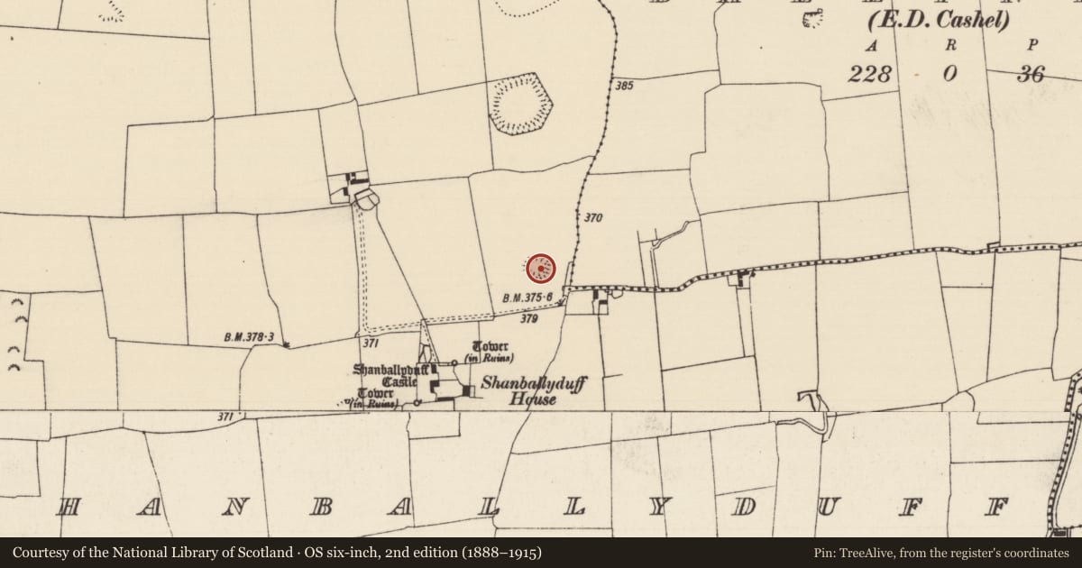 Ordnance Survey six-inch map, 2nd edition (1888–1915) covering the location of Ringfort - rath, Shanballyduff (Dangandargan Par.), County Tipperary South, with a pin at the register's coordinates