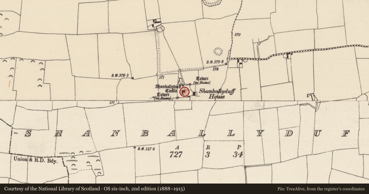 Ordnance Survey six-inch map, 2nd edition (1888–1915) covering the location of Castle - tower house, Shanballyduff (Dangandargan Par.), County Tipperary South, with a pin at the register's coordinates