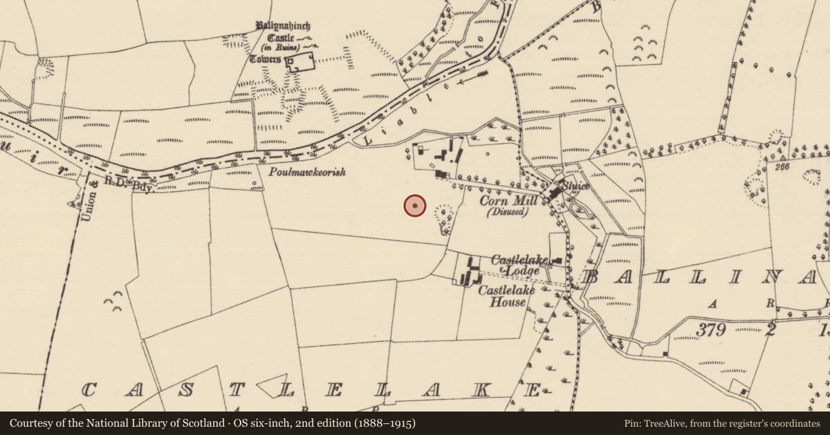 Ordnance Survey six-inch map, 2nd edition (1888–1915) covering the location of Settlement cluster, Castlelake, County Tipperary South, with a pin at the register's coordinates