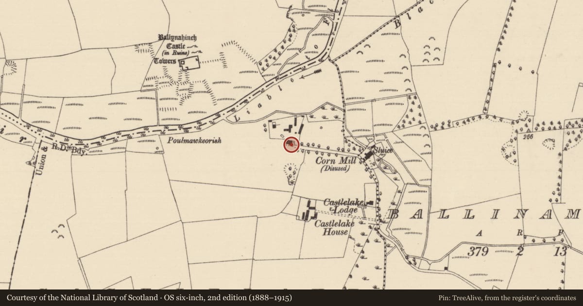 Ordnance Survey six-inch map, 2nd edition (1888–1915) covering the location of Castle - tower house, Castlelake, County Tipperary South, with a pin at the register's coordinates