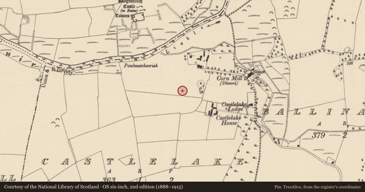 Ordnance Survey six-inch map, 2nd edition (1888–1915) covering the location of Field system, Castlelake, County Tipperary South, with a pin at the register's coordinates