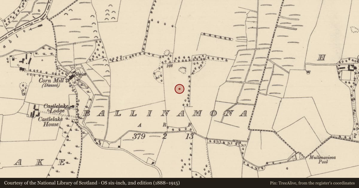 Ordnance Survey six-inch map, 2nd edition (1888–1915) covering the location of Enclosure, Ballinamona (Horeabbey Par.), County Tipperary South, with a pin at the register's coordinates