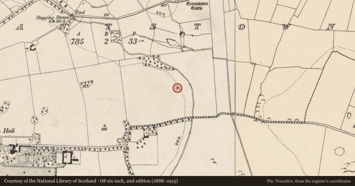 Ordnance Survey six-inch map, 2nd edition (1888–1915) covering the location of Standing stone, Ballinree (St. Patricksrock Par.), County Tipperary South, with a pin at the register's coordinates