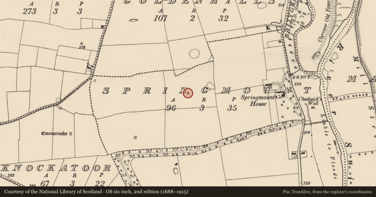 Ordnance Survey six-inch map, 2nd edition (1888–1915) covering the location of Enclosure, Springmount (Relickmurray & Athassel Par.), County Tipperary South, with a pin at the register's coordinates