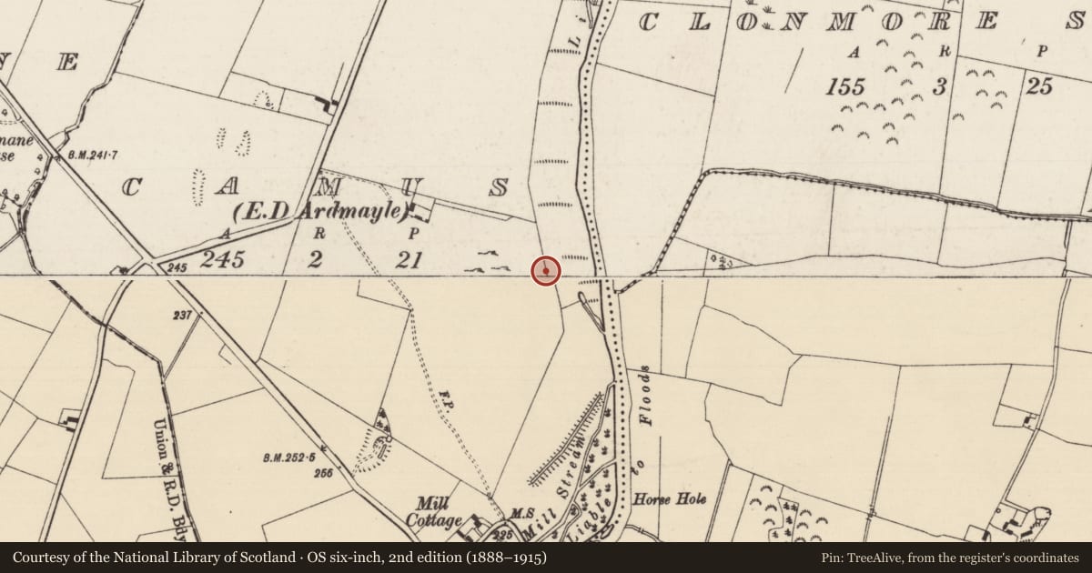 Ordnance Survey six-inch map, 2nd edition (1888–1915) covering the location of Enclosure, Camus (St. Patricksrock Par.), County Tipperary South, with a pin at the register's coordinates