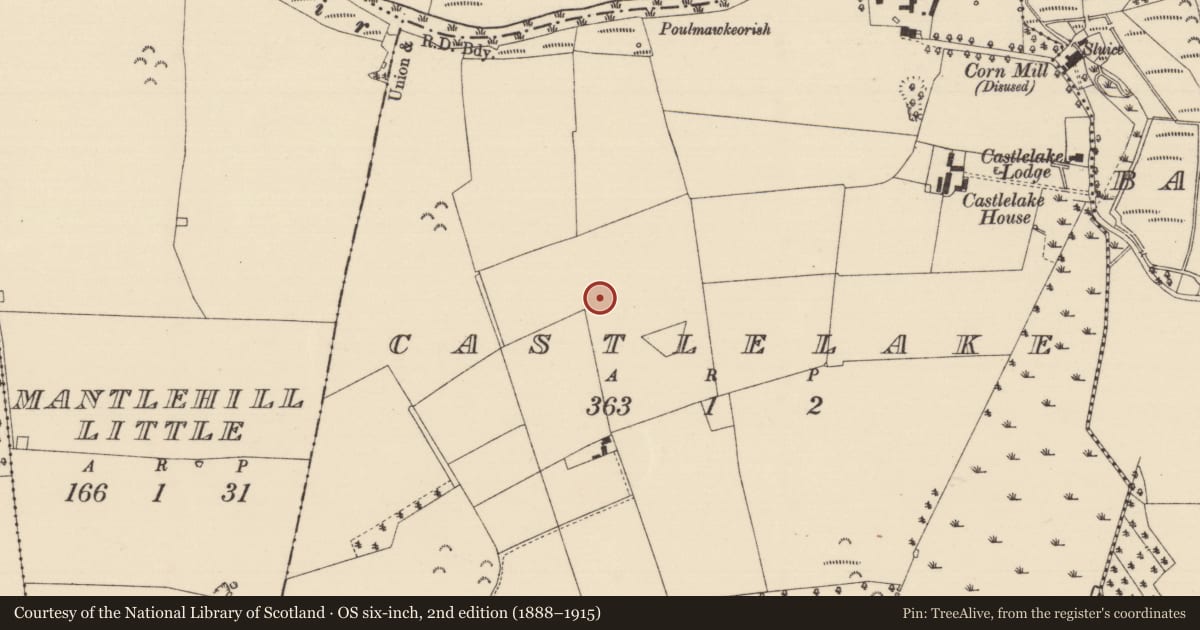 Ordnance Survey six-inch map, 2nd edition (1888–1915) covering the location of Enclosure, Castlelake, County Tipperary South, with a pin at the register's coordinates