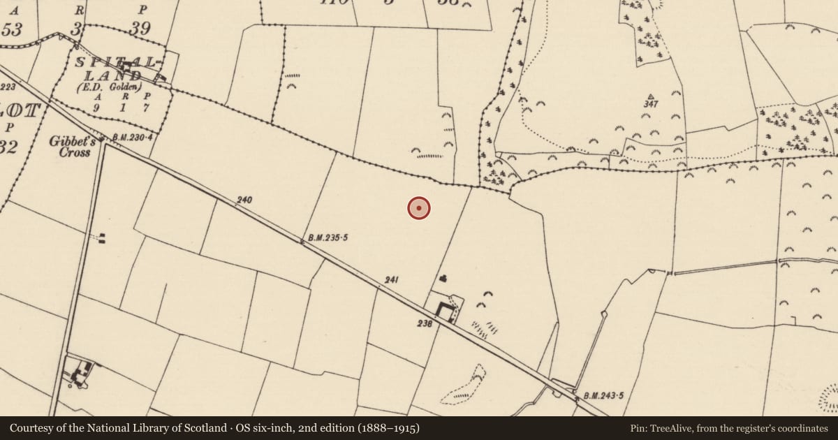 Ordnance Survey six-inch map, 2nd edition (1888–1915) covering the location of Enclosure, Cloghleigh (Relickmurray & Athassel Par.), County Tipperary South, with a pin at the register's coordinates