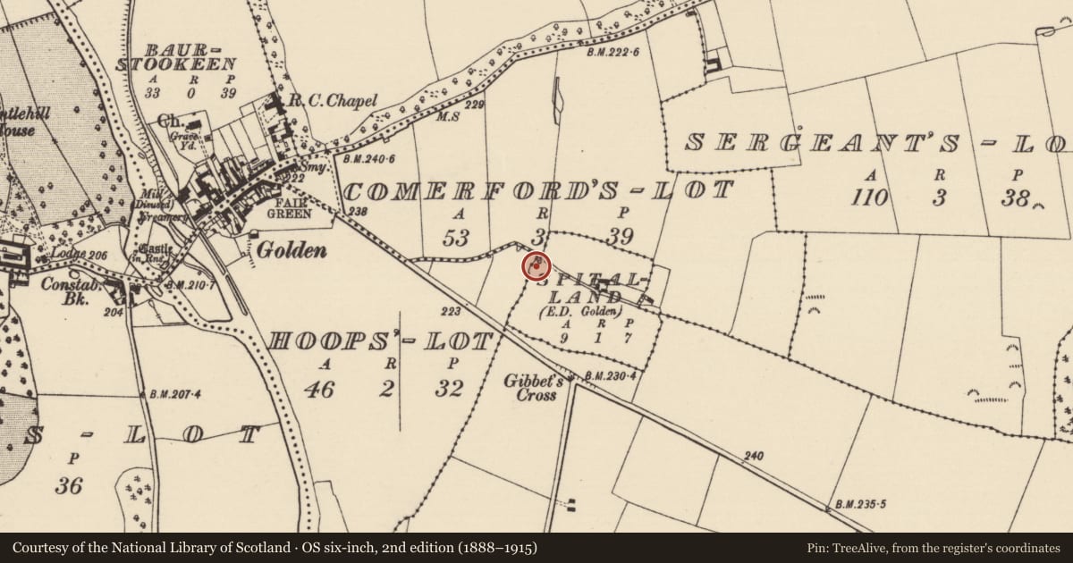 Ordnance Survey six-inch map, 2nd edition (1888–1915) covering the location of Well, Spital-Land (Relickmurray & Athassel Par.), County Tipperary South, with a pin at the register's coordinates