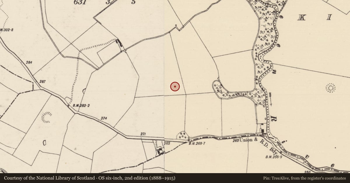Ordnance Survey six-inch map, 2nd edition (1888–1915) covering the location of Enclosure, Ballintemple (Ballintemple Par.), County Tipperary South, with a pin at the register's coordinates