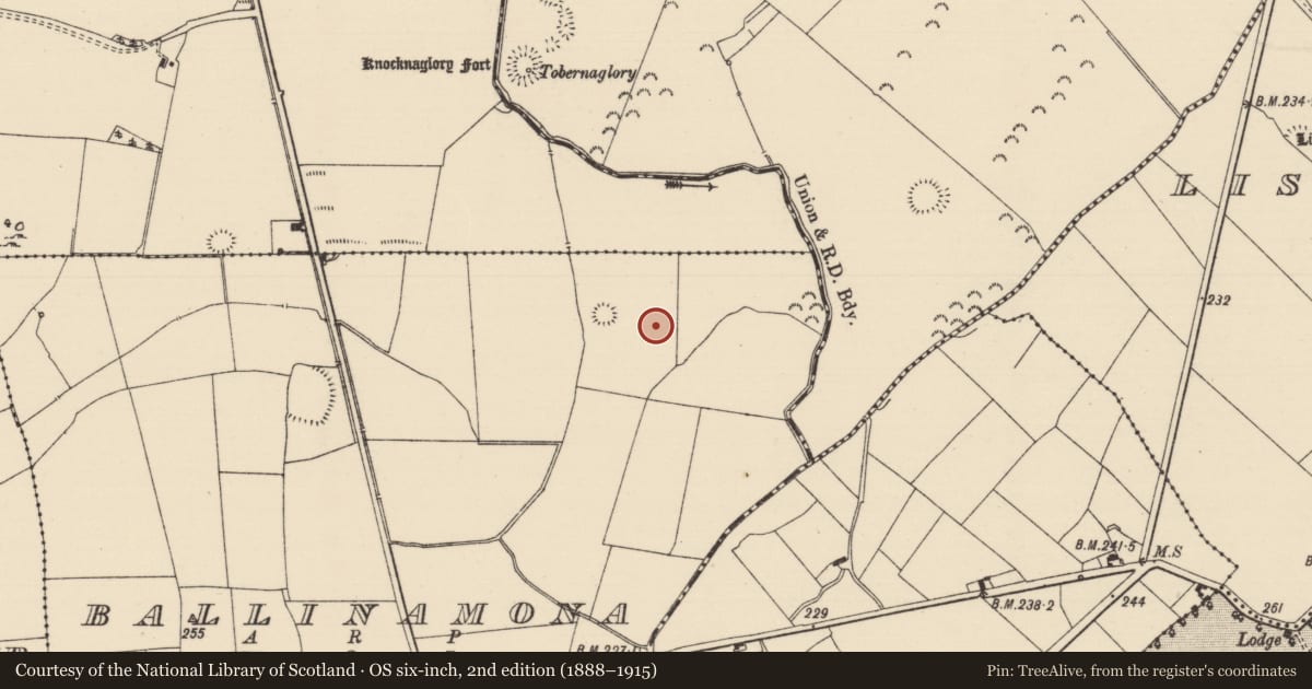 Ordnance Survey six-inch map, 2nd edition (1888–1915) covering the location of Enclosure, Ballinamona (Oughterleague Par.), County Tipperary South, with a pin at the register's coordinates