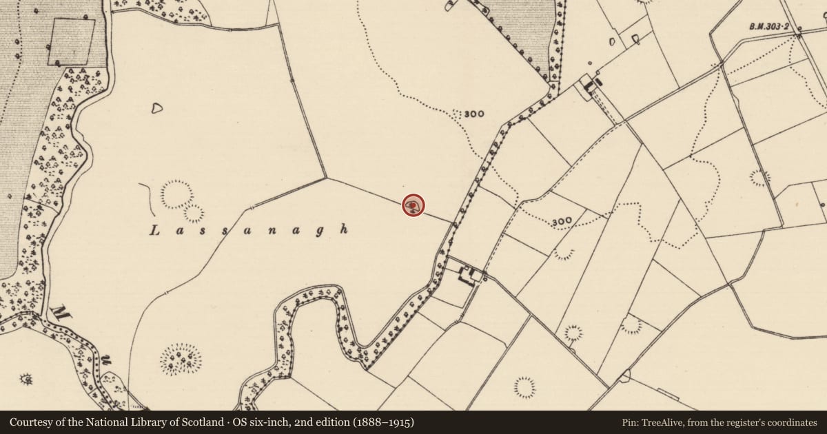 Ordnance Survey six-inch map, 2nd edition (1888–1915) covering the location of Ringfort - rath, Dundrum, County Tipperary South, with a pin at the register's coordinates