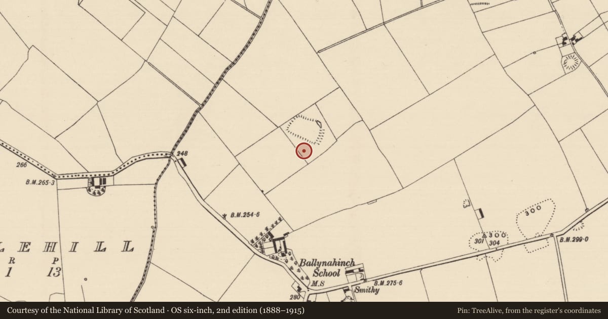 Ordnance Survey six-inch map, 2nd edition (1888–1915) covering the location of Barrow - ditch barrow, Ballynahinch (Ballygriffin Par.), County Tipperary South, with a pin at the register's coordinates
