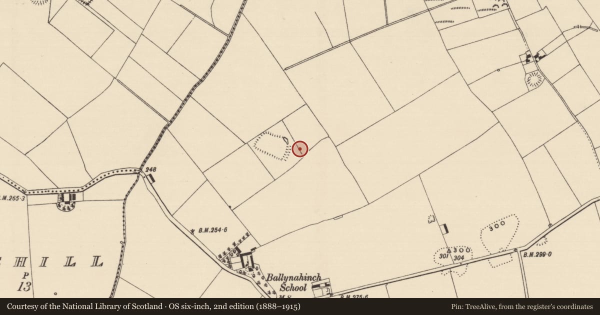 Ordnance Survey six-inch map, 2nd edition (1888–1915) covering the location of Barrow - ditch barrow, Ballynahinch (Ballygriffin Par.), County Tipperary South, with a pin at the register's coordinates