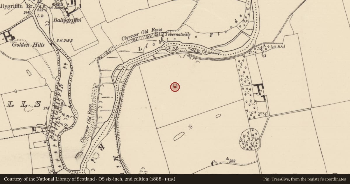 Ordnance Survey six-inch map, 2nd edition (1888–1915) covering the location of Enclosure, Mantlehill Great, County Tipperary South, with a pin at the register's coordinates