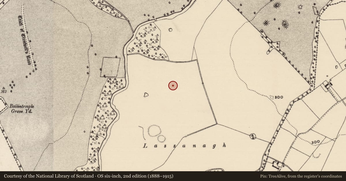 Ordnance Survey six-inch map, 2nd edition (1888–1915) covering the location of Enclosure, Dundrum, County Tipperary South, with a pin at the register's coordinates