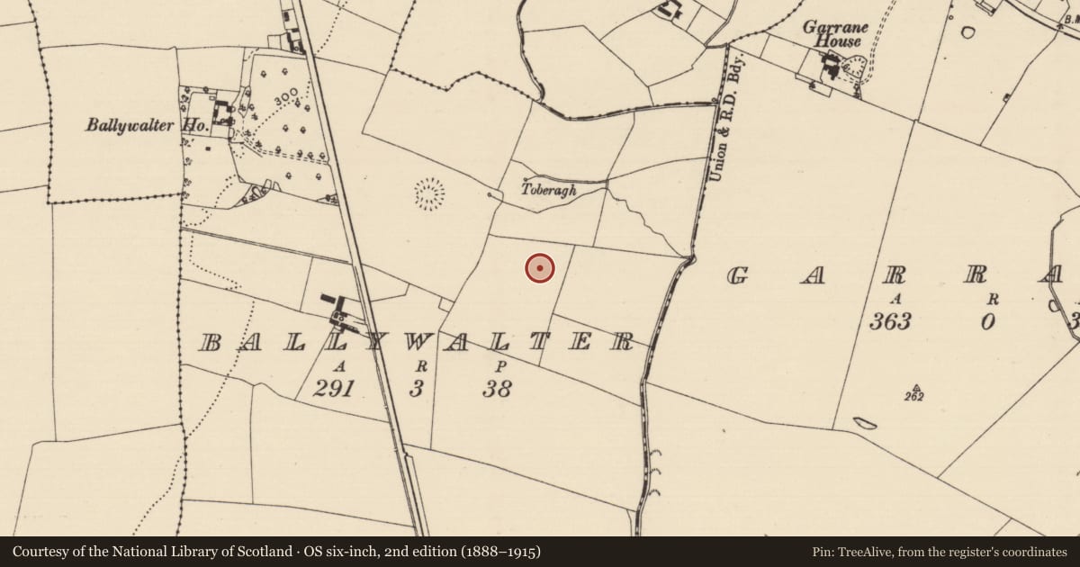 Ordnance Survey six-inch map, 2nd edition (1888–1915) covering the location of Enclosure, Ballywalter (Oughterleague Par.), County Tipperary South, with a pin at the register's coordinates