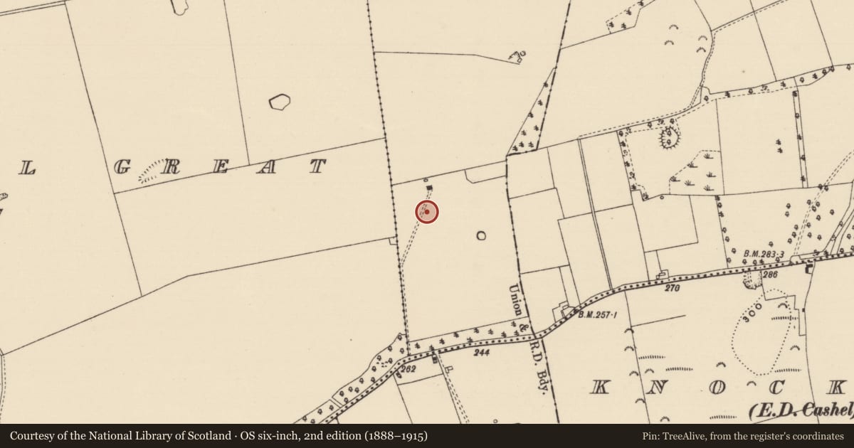 Ordnance Survey six-inch map, 2nd edition (1888–1915) covering the location of Enclosure, Castlelake, County Tipperary South, with a pin at the register's coordinates