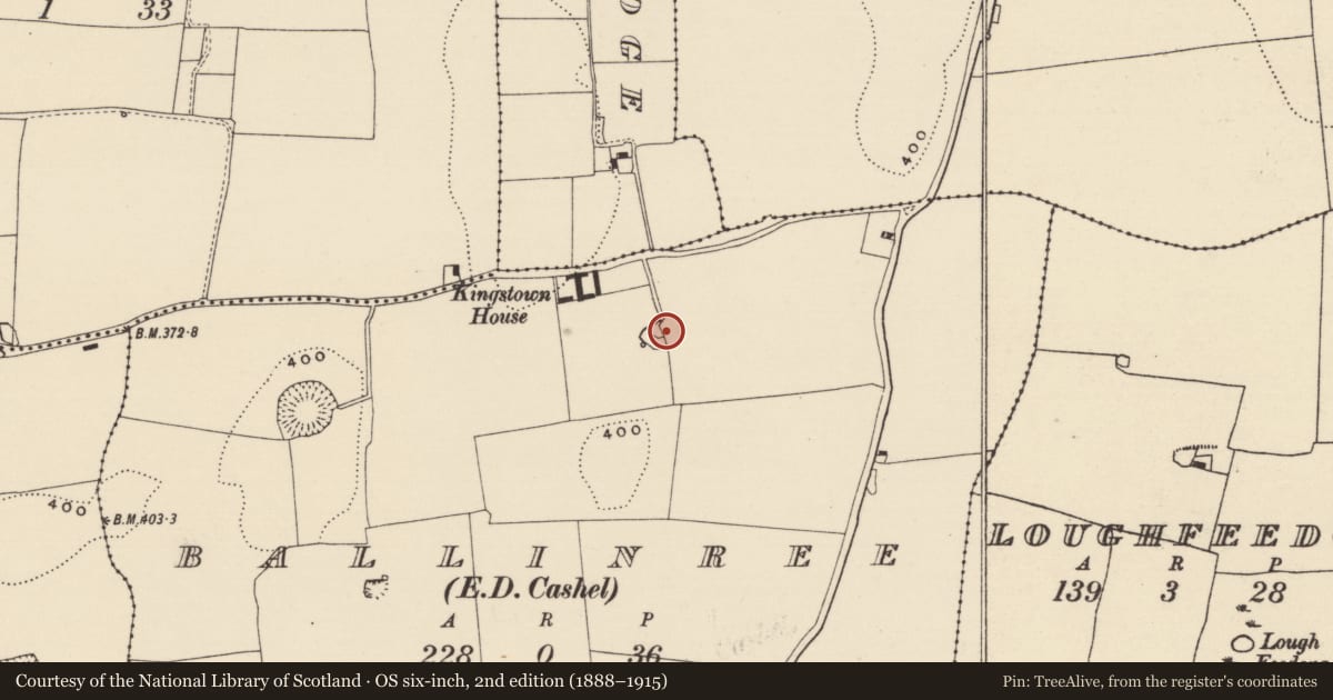Ordnance Survey six-inch map, 2nd edition (1888–1915) covering the location of Enclosure, Ballinree (St. Patricksrock Par.), County Tipperary South, with a pin at the register's coordinates