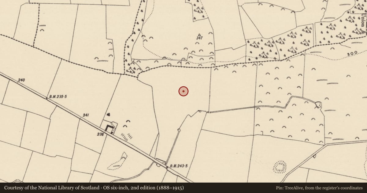 Ordnance Survey six-inch map, 2nd edition (1888–1915) covering the location of Enclosure, Cloghleigh (Relickmurray & Athassel Par.), County Tipperary South, with a pin at the register's coordinates
