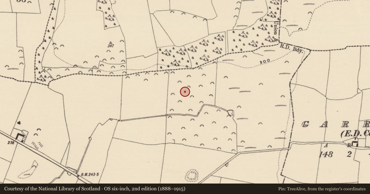 Ordnance Survey six-inch map, 2nd edition (1888–1915) covering the location of Enclosure, Cloghleigh (Relickmurray & Athassel Par.), County Tipperary South, with a pin at the register's coordinates