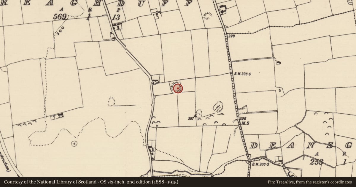 Ordnance Survey six-inch map, 2nd edition (1888–1915) covering the location of Ringfort - rath, Freaghduff, County Tipperary South, with a pin at the register's coordinates