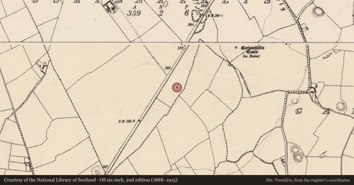 Ordnance Survey six-inch map, 2nd edition (1888–1915) covering the location of Ringfort - rath, Gortmakellis, County Tipperary South, with a pin at the register's coordinates