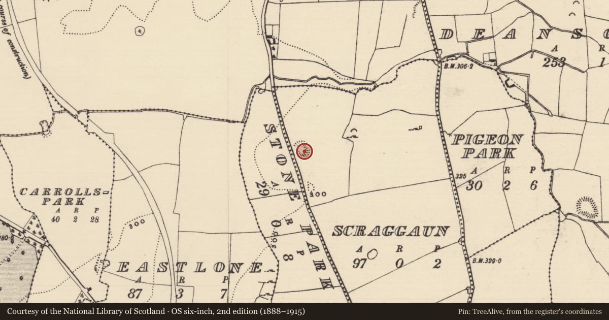 Ordnance Survey six-inch map, 2nd edition (1888–1915) covering the location of Ringfort - rath, Scraggaun, County Tipperary South, with a pin at the register's coordinates