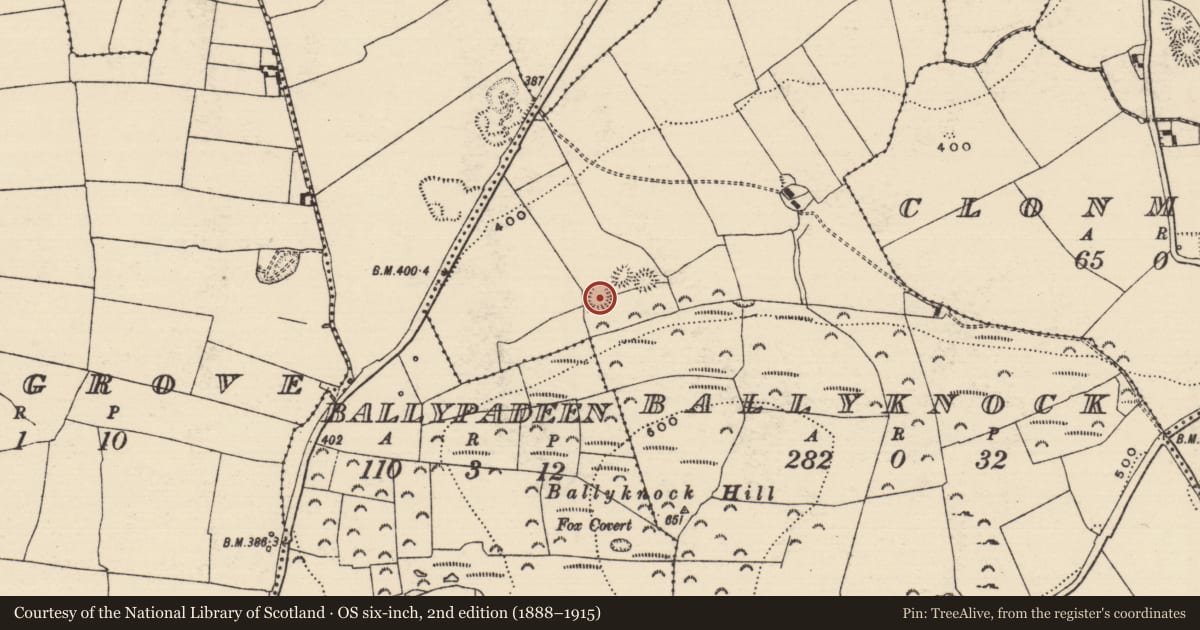 Ordnance Survey six-inch map, 2nd edition (1888–1915) covering the location of Enclosure, Ballyknock, County Tipperary South, with a pin at the register's coordinates