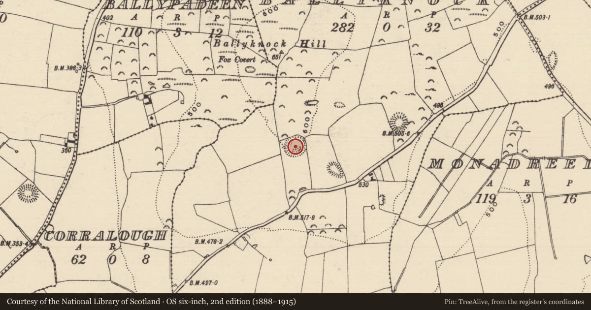 Ordnance Survey six-inch map, 2nd edition (1888–1915) covering the location of Ringfort - rath, Ballyknock, County Tipperary South, with a pin at the register's coordinates