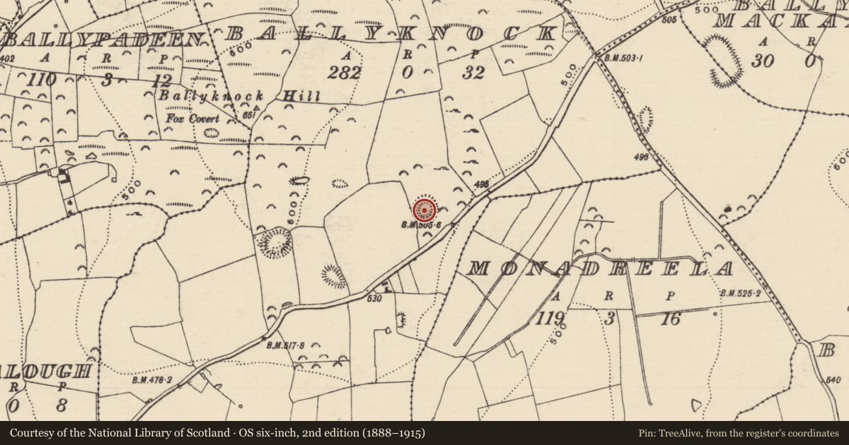 Ordnance Survey six-inch map, 2nd edition (1888–1915) covering the location of Ringfort - rath, Ballyknock, County Tipperary South, with a pin at the register's coordinates