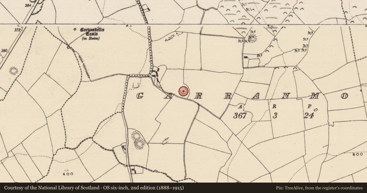 Ordnance Survey six-inch map, 2nd edition (1888–1915) covering the location of Ringfort - rath, Garranmore (St. Patricksrock Par.), County Tipperary South, with a pin at the register's coordinates