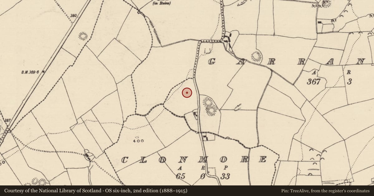 Ordnance Survey six-inch map, 2nd edition (1888–1915) covering the location of Enclosure, Garranmore (St. Patricksrock Par.), County Tipperary South, with a pin at the register's coordinates