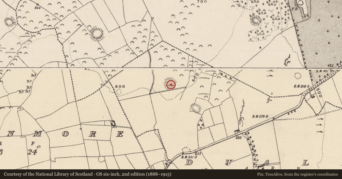 Ordnance Survey six-inch map, 2nd edition (1888–1915) covering the location of Hut site, Dually, County Tipperary South, with a pin at the register's coordinates
