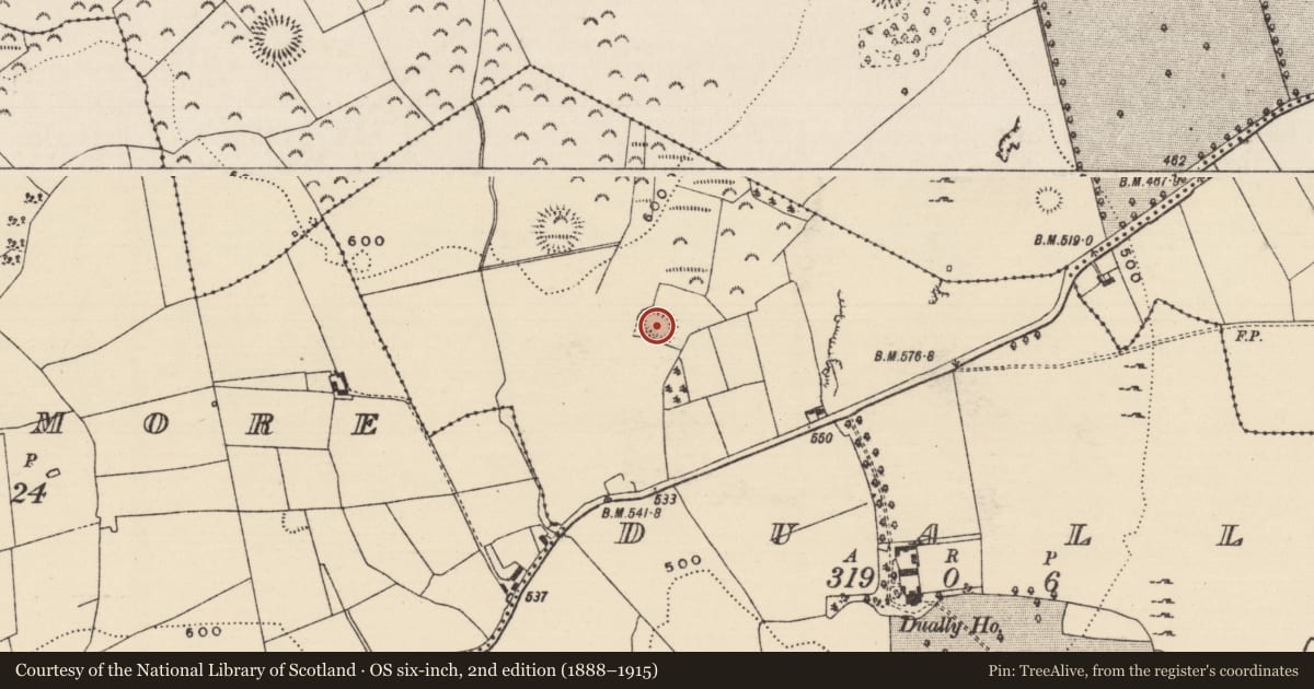 Ordnance Survey six-inch map, 2nd edition (1888–1915) covering the location of Ringfort - rath, Dually, County Tipperary South, with a pin at the register's coordinates