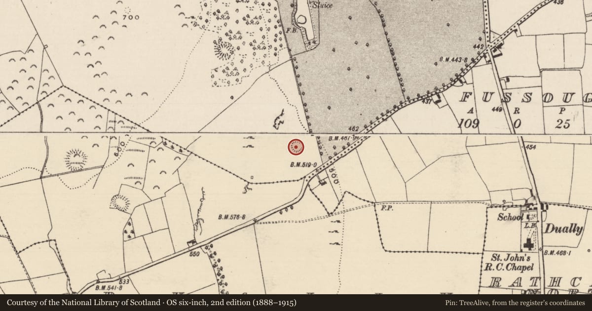 Ordnance Survey six-inch map, 2nd edition (1888–1915) covering the location of Ringfort - rath, Newpark (Ballysheehan Par.), County Tipperary South, with a pin at the register's coordinates